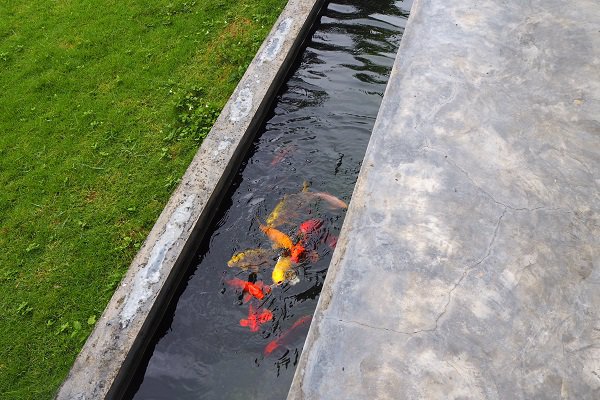 ขาย-บ้านพักอาศัย-ส่วนบุคคล-ตั้งอยู่กลางอำเภอปาย-จังหวัดแม่ฮ่องสอน