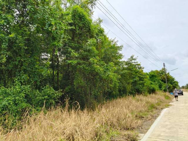 ขายที่ดินเปล่า-ซอยคลองหกตะวันตก-33-ปทุมธานี