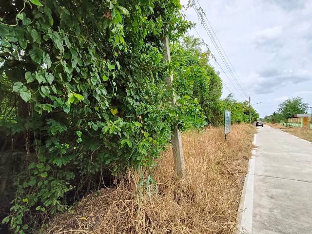 ขายที่ดินเปล่า-ซอยคลองหกตะวันตก-33-ปทุมธานี