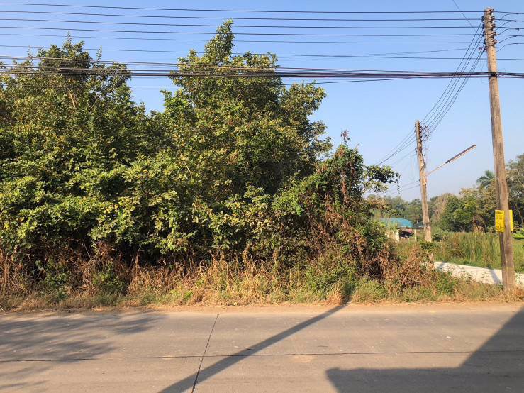 ขายที่ดินเปล่า-ซอยคลองหกตะวันตก-33-ปทุมธานี