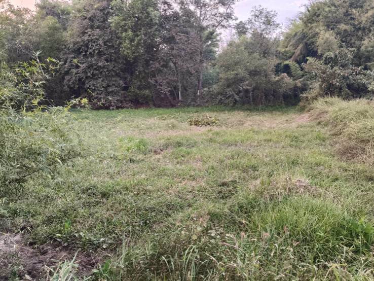 ขายที่ดินเปล่า-ข้างที่ว่าการอำเภอเขาสวนกวาง-จังหวัดขอนแก่น