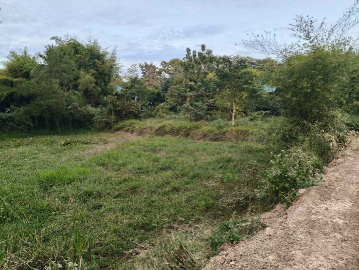 ขายที่ดินเปล่า-ข้างที่ว่าการอำเภอเขาสวนกวาง-จังหวัดขอนแก่น