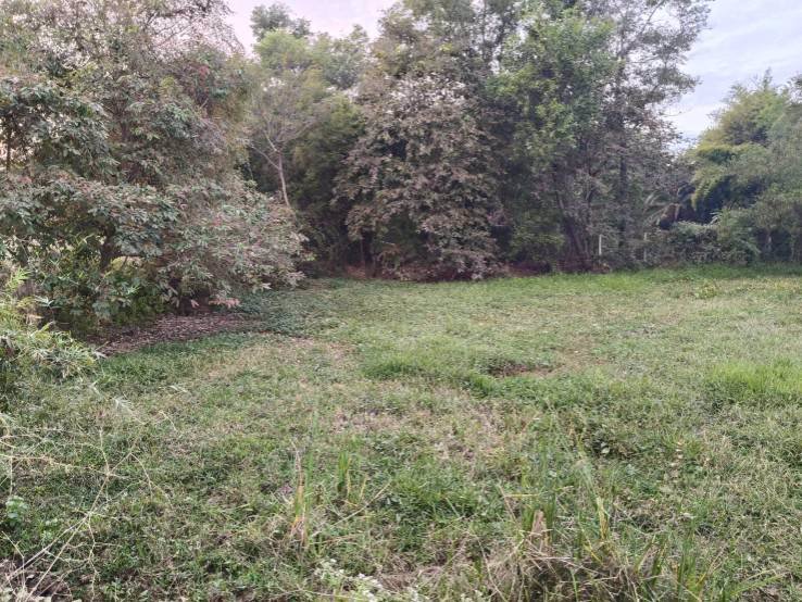 ขายที่ดินเปล่า-ข้างที่ว่าการอำเภอเขาสวนกวาง-จังหวัดขอนแก่น