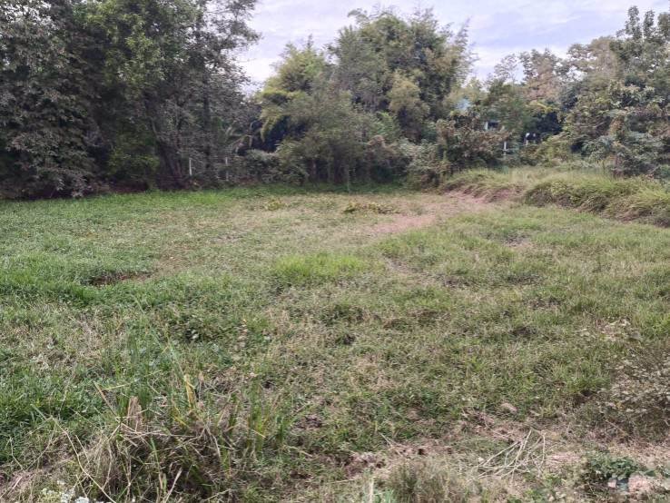 ขายที่ดินเปล่า-ข้างที่ว่าการอำเภอเขาสวนกวาง-จังหวัดขอนแก่น