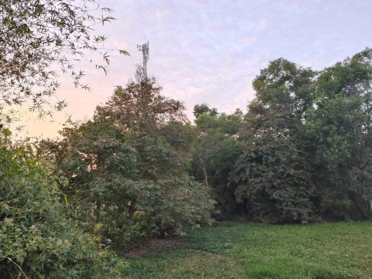 ขายที่ดินเปล่า-ข้างที่ว่าการอำเภอเขาสวนกวาง-จังหวัดขอนแก่น