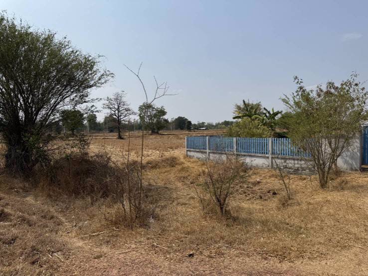 ขายที่ดินพร้อมสิ่งปลูกสร้าง-เนื้อที่-1-ไร่-บ้านหนองซองแมว-ตำบลหนองมะเขือ-อำเภอพล-จังหวัดขอนแก่น