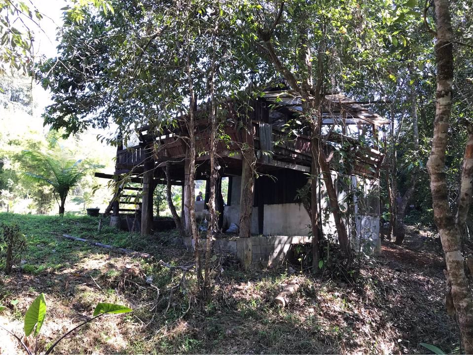 ให้เช่าที่ดิน-ที่สวยมากกลางดอยอินทนนท์-มีโฉนด-พร้อมบ้านยุ้งข้าวโบราณอายุ-200-ปี-2-หลัง