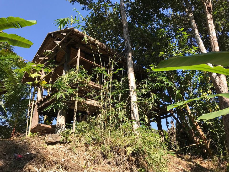 ให้เช่าที่ดิน-ที่สวยมากกลางดอยอินทนนท์-มีโฉนด-พร้อมบ้านยุ้งข้าวโบราณอายุ-200-ปี-2-หลัง