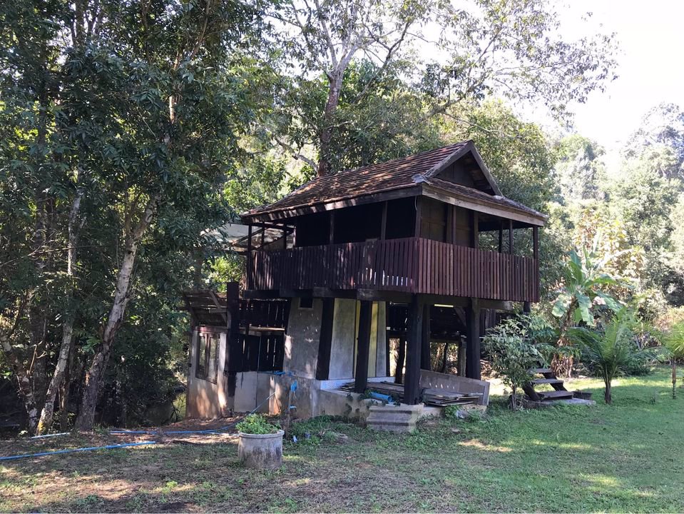 ให้เช่าที่ดิน-ที่สวยมากกลางดอยอินทนนท์-มีโฉนด-พร้อมบ้านยุ้งข้าวโบราณอายุ-200-ปี-2-หลัง