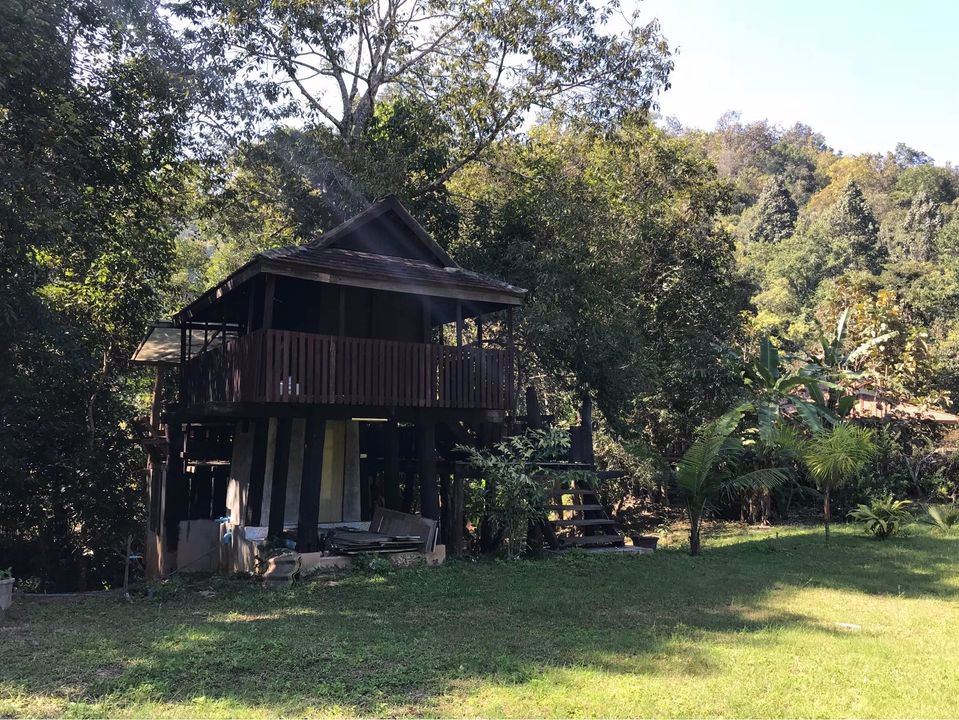 ให้เช่าที่ดิน-ที่สวยมากกลางดอยอินทนนท์-มีโฉนด-พร้อมบ้านยุ้งข้าวโบราณอายุ-200-ปี-2-หลัง