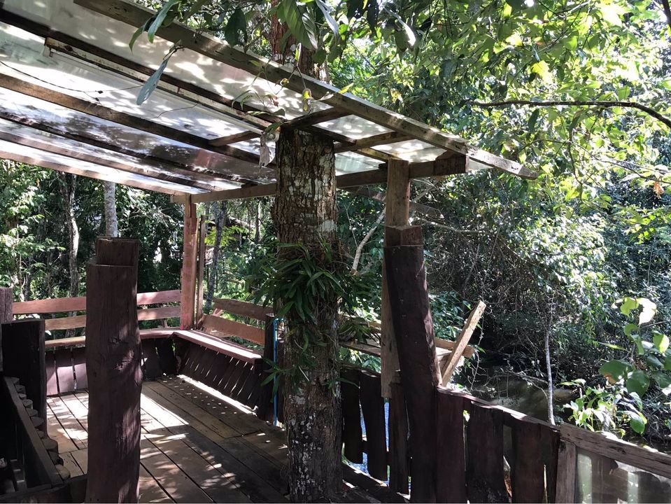 ให้เช่าที่ดิน-ที่สวยมากกลางดอยอินทนนท์-มีโฉนด-พร้อมบ้านยุ้งข้าวโบราณอายุ-200-ปี-2-หลัง