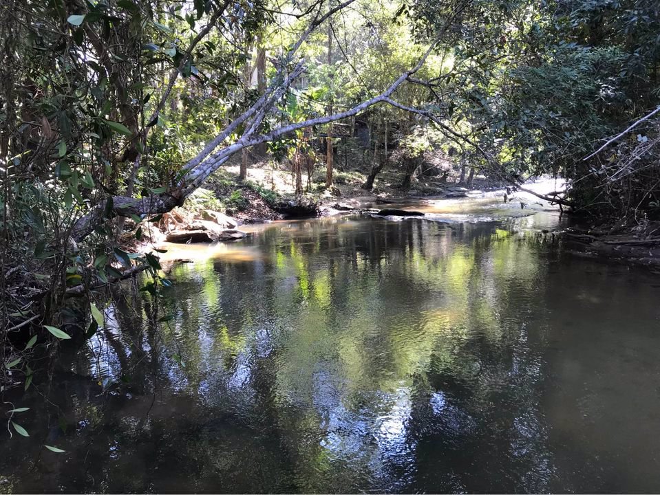 ให้เช่าที่ดิน-ที่สวยมากกลางดอยอินทนนท์-มีโฉนด-พร้อมบ้านยุ้งข้าวโบราณอายุ-200-ปี-2-หลัง