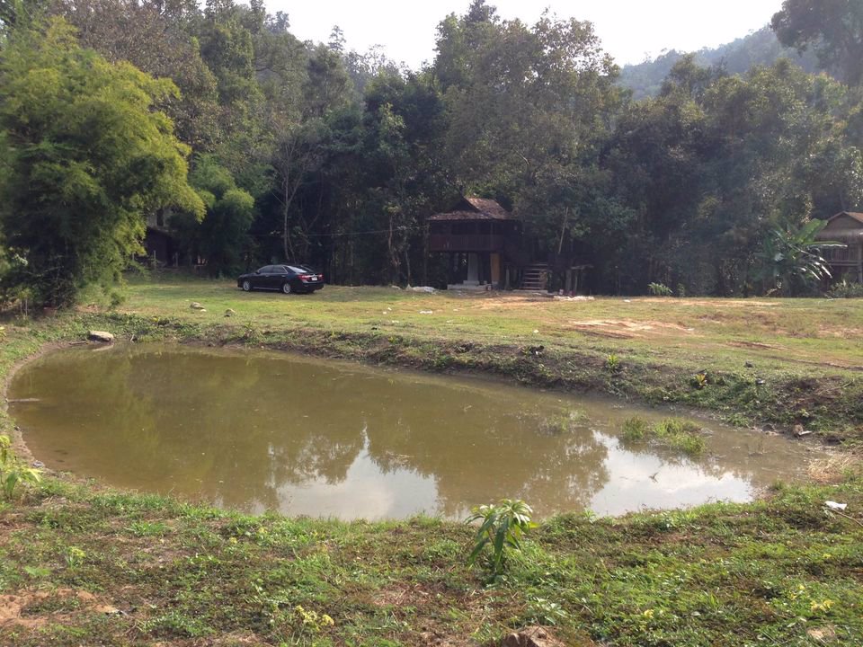 ให้เช่าที่ดิน-ที่สวยมากกลางดอยอินทนนท์-มีโฉนด-พร้อมบ้านยุ้งข้าวโบราณอายุ-200-ปี-2-หลัง