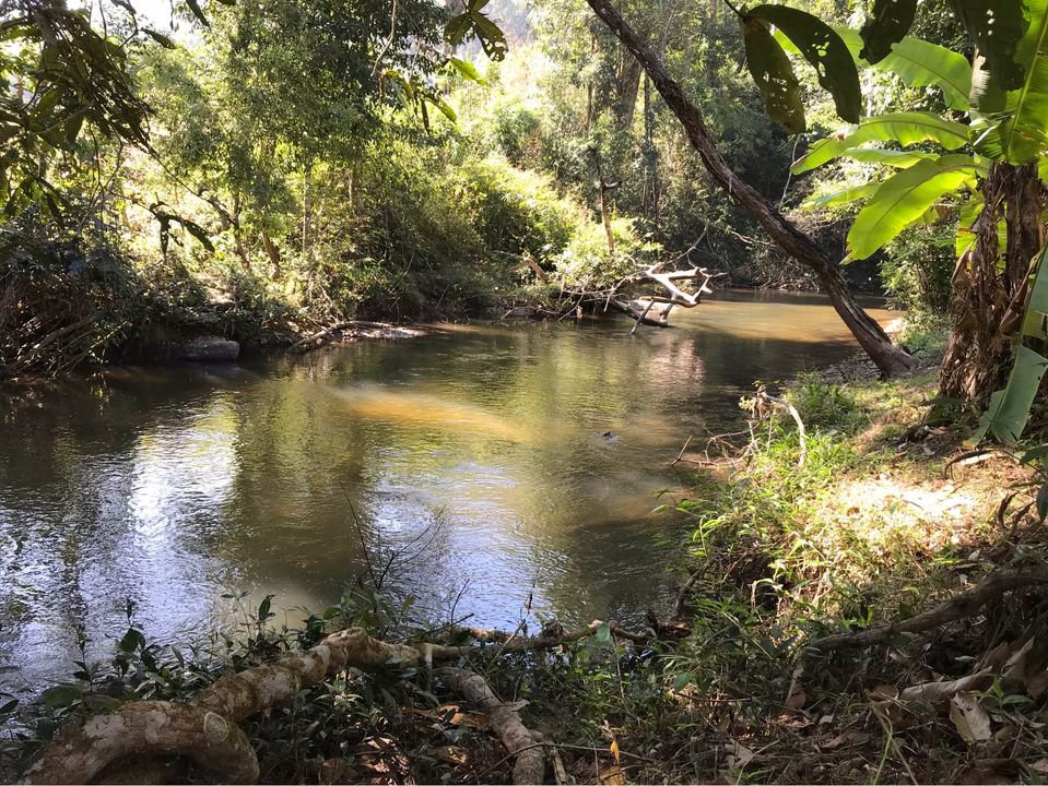 ให้เช่าที่ดิน-ที่สวยมากกลางดอยอินทนนท์-มีโฉนด-พร้อมบ้านยุ้งข้าวโบราณอายุ-200-ปี-2-หลัง