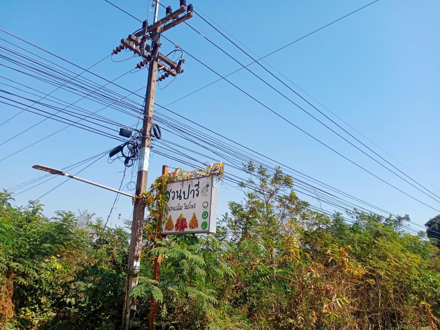 ขายที่ดิน-ชานเมืองมุกดาหาร-บ้านนาเวียงแก-สามารถเดินชมวิวแม่น้ำโขงได้