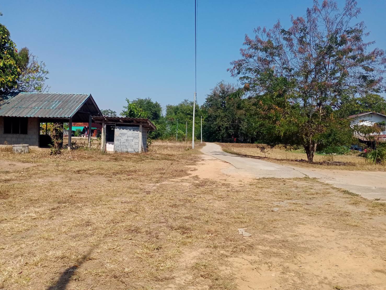 ขายที่ดิน-ชานเมืองมุกดาหาร-บ้านนาเวียงแก-สามารถเดินชมวิวแม่น้ำโขงได้