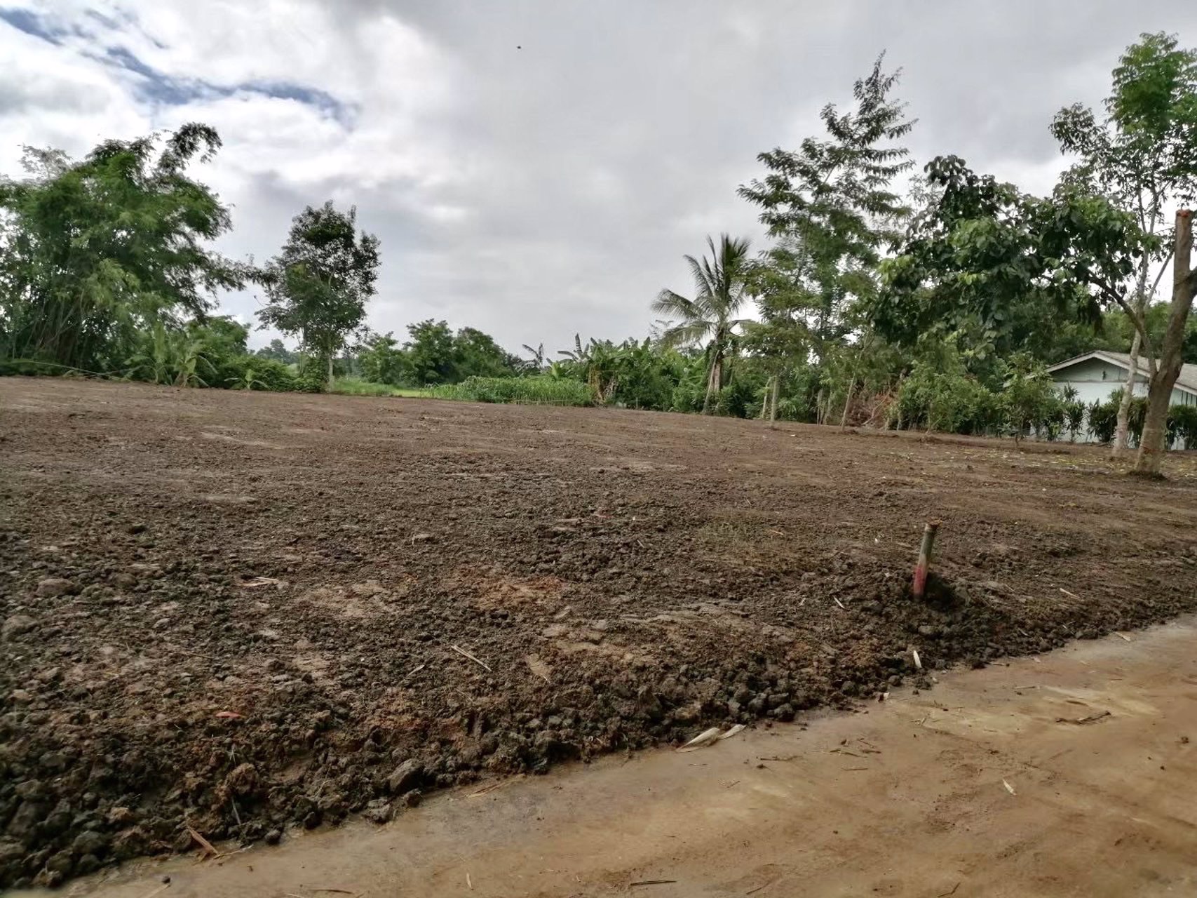 ขายที่ดินแปลงเล็ก-บ้านด้าย-อเชียงแสน-จเชียงราย-ที่ดินใกล้เซเว่นอีเลฟเว่น-