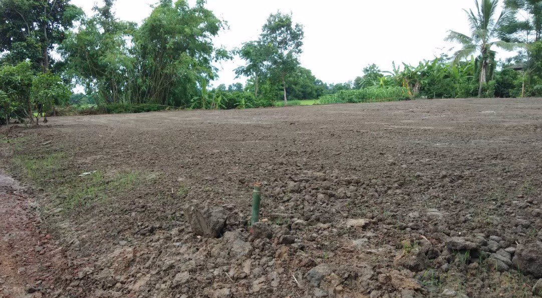 ขายที่ดินแปลงเล็ก-บ้านด้าย-อเชียงแสน-จเชียงราย-ที่ดินใกล้เซเว่นอีเลฟเว่น-