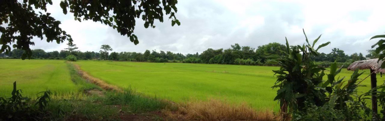 ขายที่ดินแปลงเล็ก-บ้านด้าย-อเชียงแสน-จเชียงราย-ที่ดินใกล้เซเว่นอีเลฟเว่น-