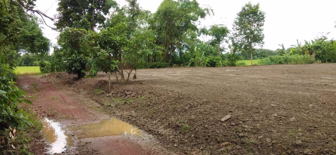 ขายที่ดินแปลงเล็ก-บ้านด้าย-อเชียงแสน-จเชียงราย-ที่ดินใกล้เซเว่นอีเลฟเว่น-