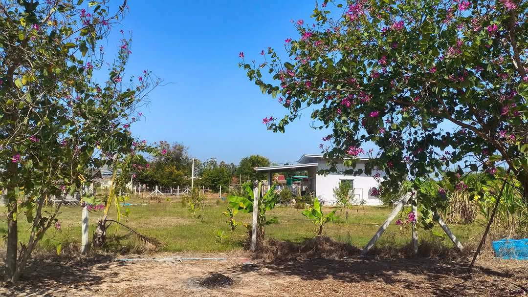 บ้านเดี่ยวชั้นเดียว-โมเดิร์น-พร้อมที่ดิน-200-ตรว-ไฟฟ้า-ปะปาพร้อม-เเหล่งชุมชน