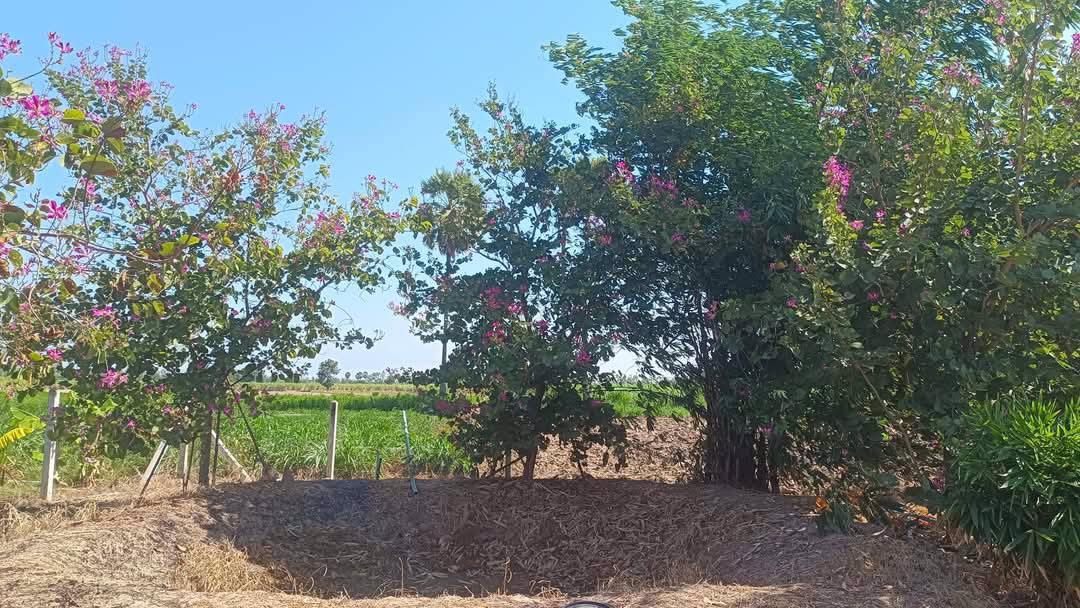 บ้านเดี่ยวชั้นเดียว-โมเดิร์น-พร้อมที่ดิน-200-ตรว-ไฟฟ้า-ปะปาพร้อม-เเหล่งชุมชน