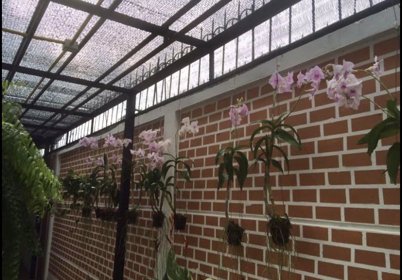 ขายด่วน-4-นอน-55-ตารางวา-หมู่บ้าน-ไวกีกิ-ชอร์-เลียบมอเตอร์เวย์-ร่มเกล้า