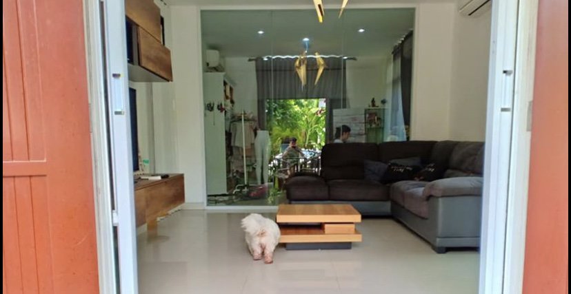 ขายด่วน-4-นอน-55-ตารางวา-หมู่บ้าน-ไวกีกิ-ชอร์-เลียบมอเตอร์เวย์-ร่มเกล้า