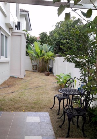 ขาย-บ้านเดี่ยว-หลังใหญ่-60-วา-หน้าบ้านไม่ชนกับบ้านหลังอื่น-ปิ่นเกล้า-พระราม-5