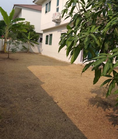 ขาย-บ้านเดี่ยว-หลังใหญ่-60-วา-หน้าบ้านไม่ชนกับบ้านหลังอื่น-ปิ่นเกล้า-พระราม-5