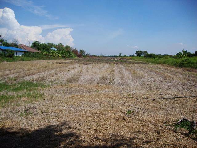 49ไร่-3งาน-38ตารางวา-ถรังสิต-นครนายก-คลอง11-ติดริมคลอง-ทำเลดี-ใกล้ตลาด-แหล่งชุมชน