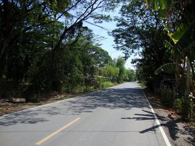 49ไร่-3งาน-38ตารางวา-ถรังสิต-นครนายก-คลอง11-ติดริมคลอง-ทำเลดี-ใกล้ตลาด-แหล่งชุมชน