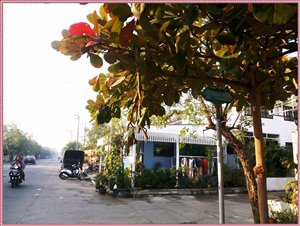 ขายที่ดิน5ไร่1งาน-อยู่ใจกลางเมืองโคราช-ถนนรัตนพิธาน-ใกล้กับตลาดสระครก-ออกสู่ถนนบายพาสโคราช-ขอนแก่นได