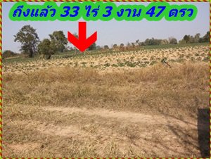 ขายที่ดิน-33-ไร่-3-งาน-47-ตารางวา-ตำบลสระพระ-อำเภอโนนไทย-จังหวัดนครราชสีมา-หน้ากว้างติดถนน-412-เมตร