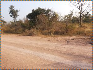 ขายที่ดิน-65-ไร่-2-งาน-หน้ากว้างติดถนน-572-เมตร-วิวภูเขา-ราคาไม่แพง