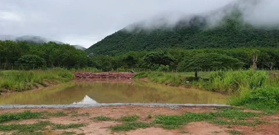 ขายที่ดินมีโฉนด-28-ไร่-9-ตรวไร่ละ-700000-บาท-ใกล้โครงการชั่งหัวมัน