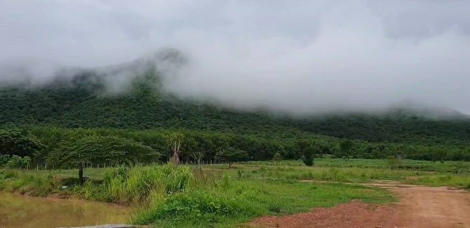 ขายที่ดินมีโฉนด-28-ไร่-9-ตรวไร่ละ-700000-บาท-ใกล้โครงการชั่งหัวมัน