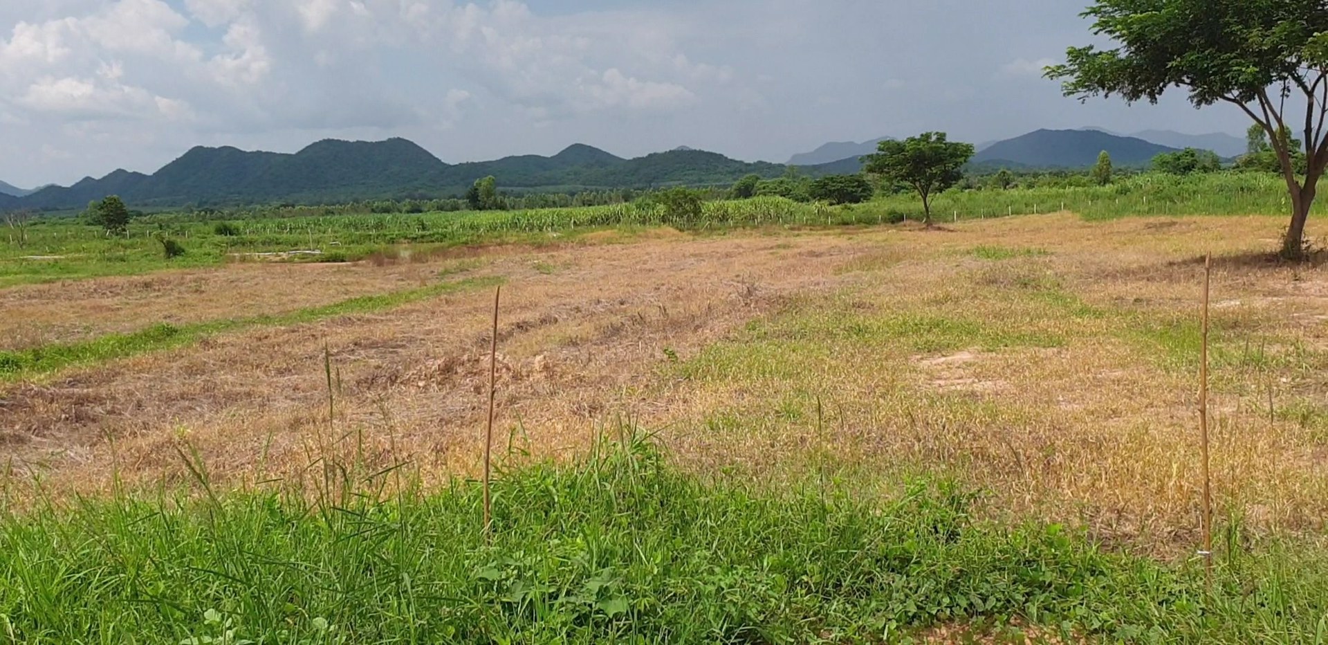 ขายที่ดินมีโฉนด-28-ไร่-9-ตรวไร่ละ-700000-บาท-ใกล้โครงการชั่งหัวมัน