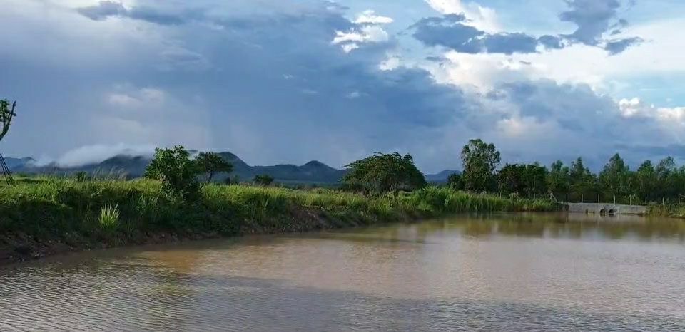 ขายที่ดินมีโฉนด-28-ไร่-9-ตรวไร่ละ-700000-บาท-ใกล้โครงการชั่งหัวมัน