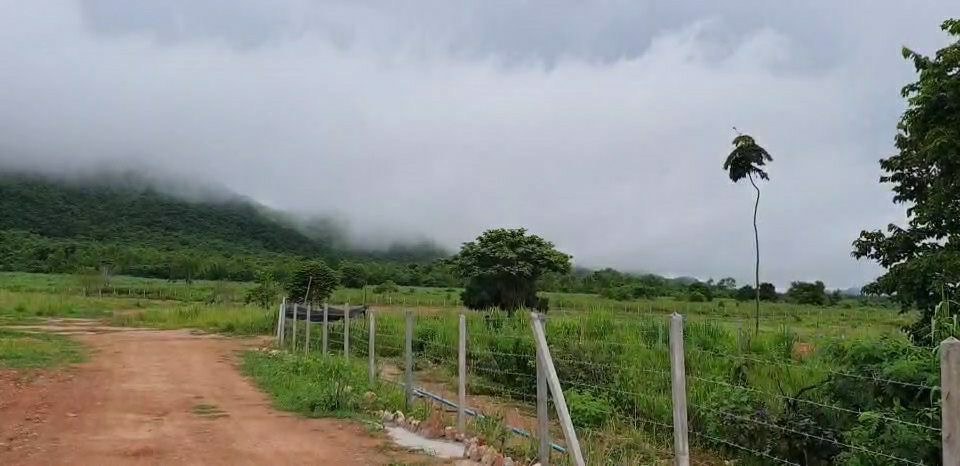 ขายที่ดินมีโฉนด-28-ไร่-9-ตรวไร่ละ-700000-บาท-ใกล้โครงการชั่งหัวมัน