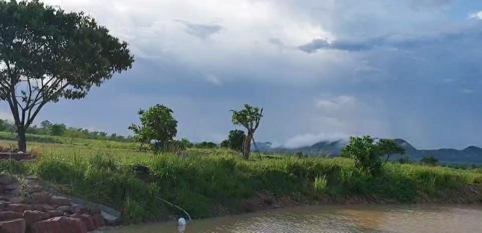 ขายที่ดินมีโฉนด-28-ไร่-9-ตรวไร่ละ-700000-บาท-ใกล้โครงการชั่งหัวมัน