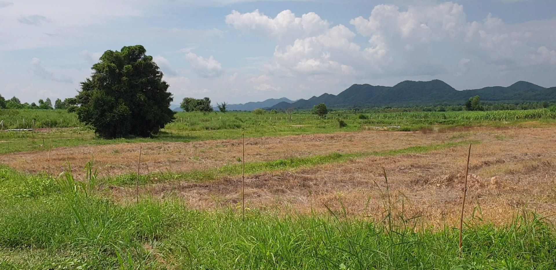 ขายที่ดินมีโฉนด-28-ไร่-9-ตรวไร่ละ-700000-บาท-ใกล้โครงการชั่งหัวมัน