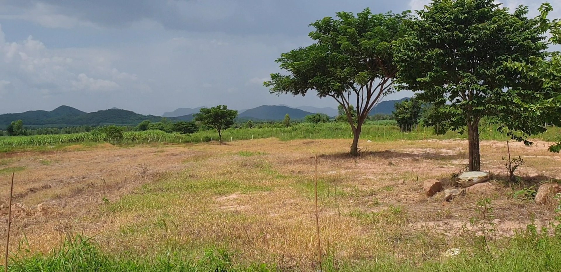 ขายที่ดินมีโฉนด-28-ไร่-9-ตรวไร่ละ-700000-บาท-ใกล้โครงการชั่งหัวมัน