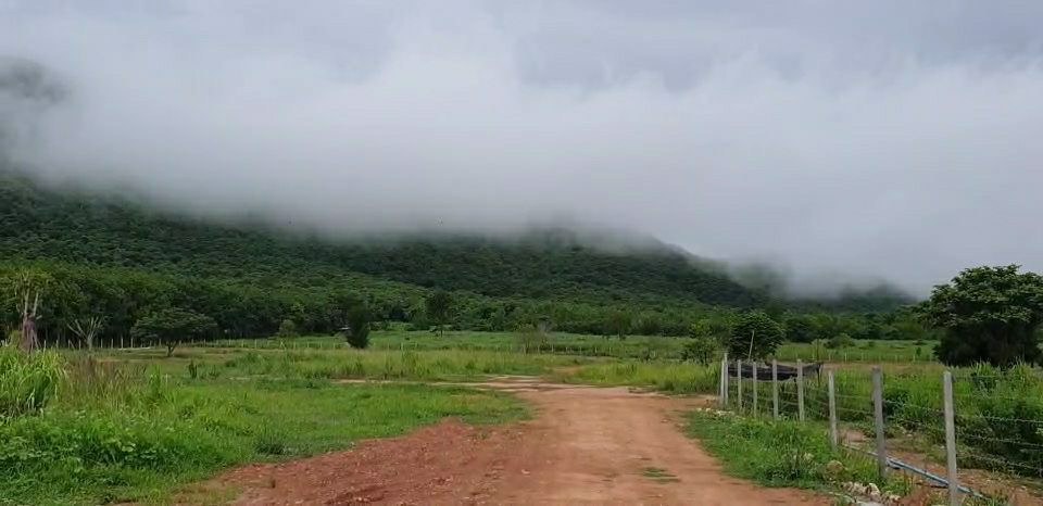 ขายที่ดินมีโฉนด-28-ไร่-9-ตรวไร่ละ-700000-บาท-ใกล้โครงการชั่งหัวมัน