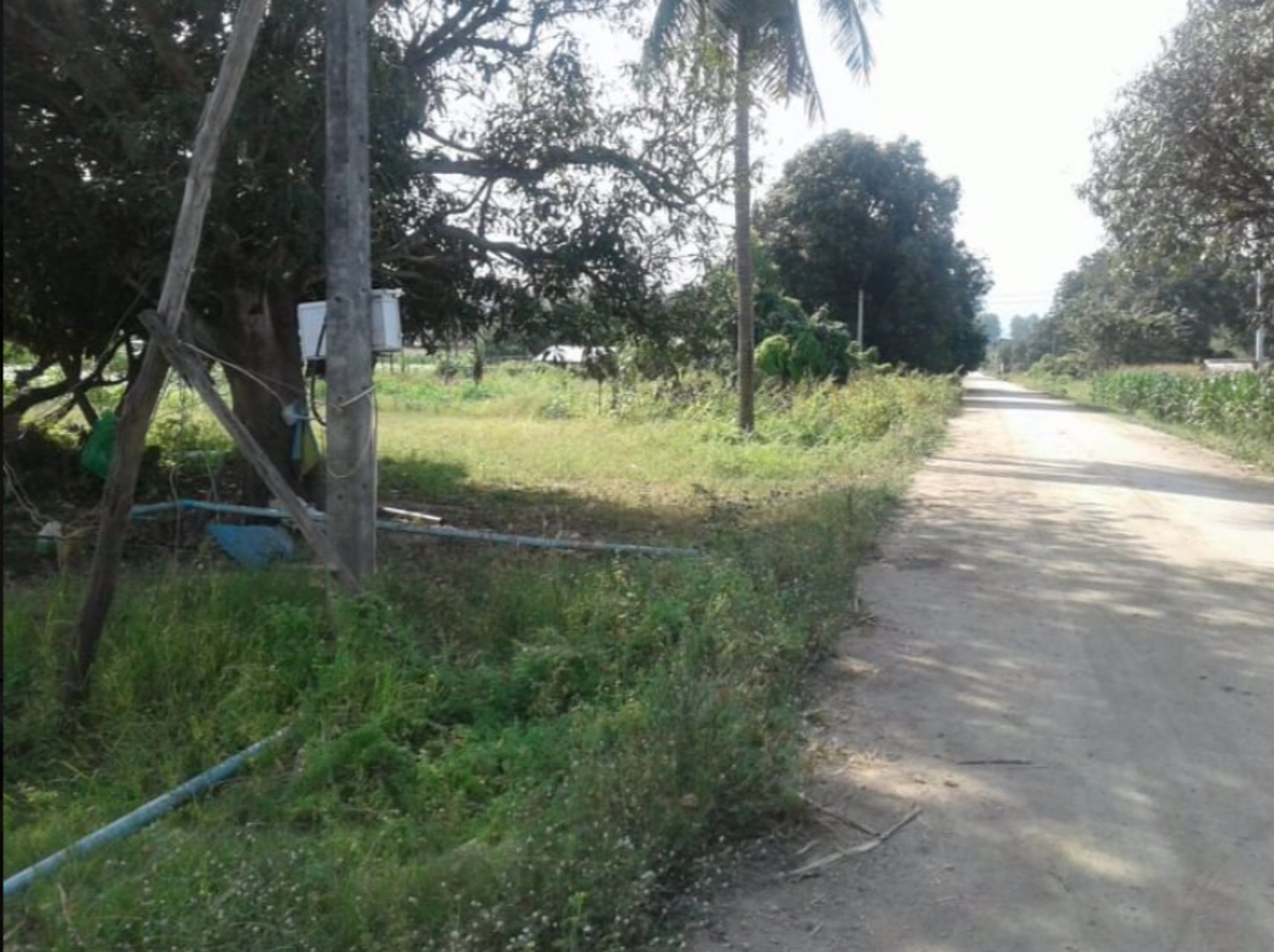 ขายที่ดินในชุมชน10ไร่-อยู่ย่านใหม่สามัคคี-ติดถนนคอนกรีต