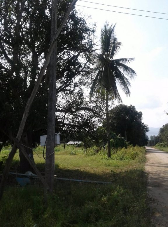 ขายที่ดินในชุมชน10ไร่-อยู่ย่านใหม่สามัคคี-ติดถนนคอนกรีต