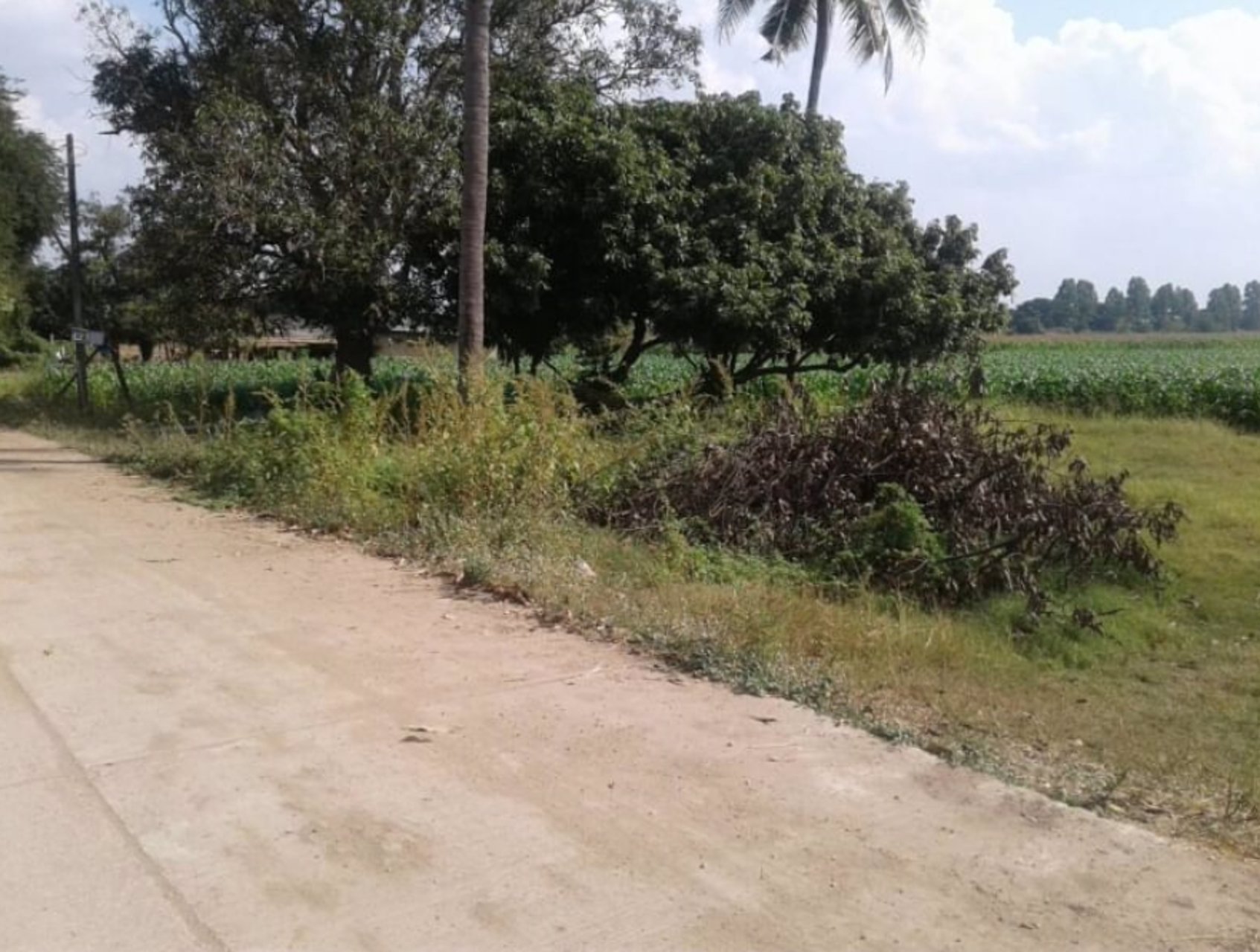 ขายที่ดินในชุมชน10ไร่-อยู่ย่านใหม่สามัคคี-ติดถนนคอนกรีต