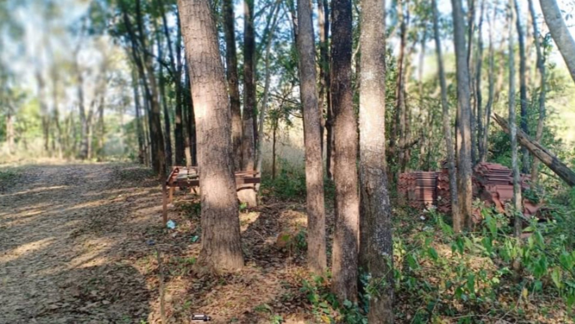 ขายที่ดิน-2ไร่-ราคา290000บาท-ผ่อนวัน100บาท-