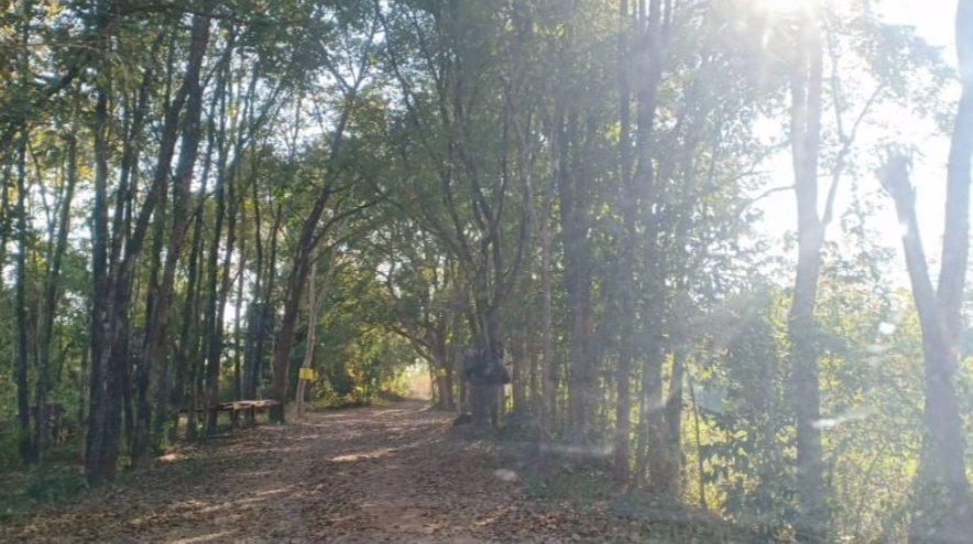 ขายที่ดิน-2ไร่-ราคา290000บาท-ผ่อนวัน100บาท-