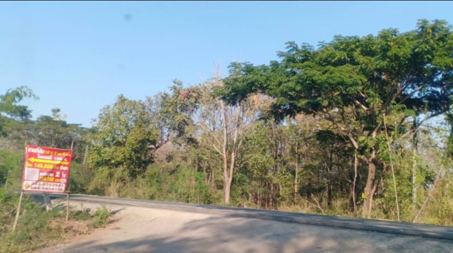 ขายที่ดิน-2ไร่-ราคา290000บาท-ผ่อนวัน100บาท-